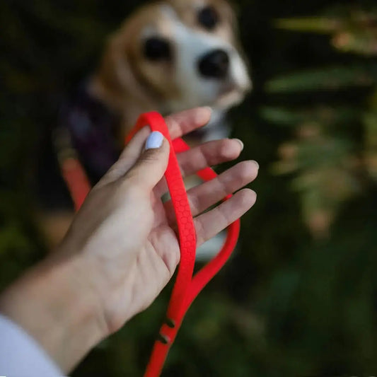 Linka treningowa dla psa z taśmy HEXA, czerwony BURA