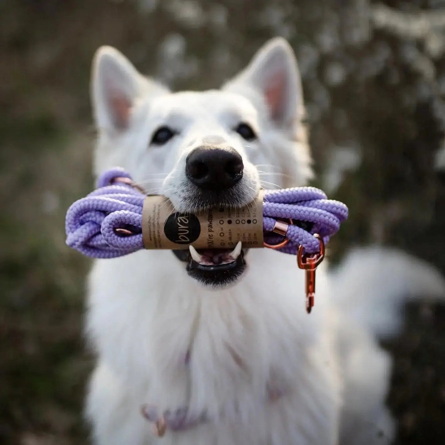 Smycz przepinana linowa dla psa, lilia / YOU're pawsome! BURA