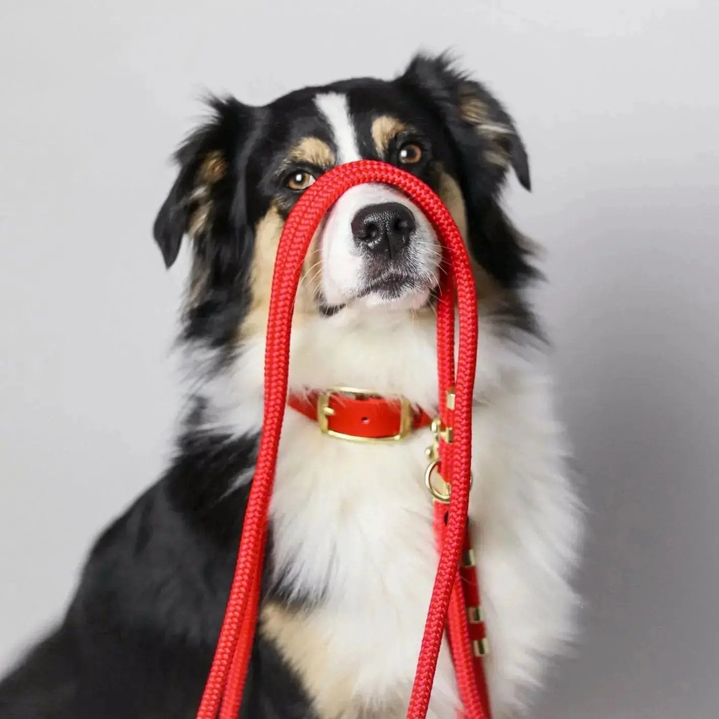 Smycz przepinana linowa dla psa, czerwony / hot DOG BURA