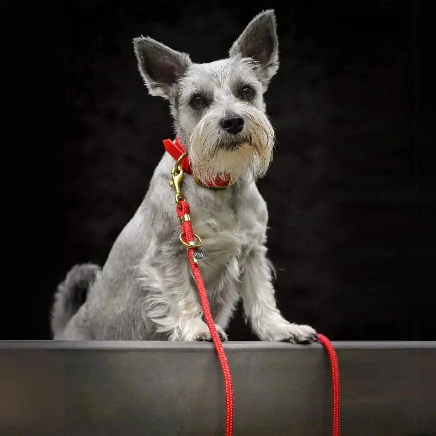 Smycz przepinana linowa dla psa, czerwony / hot DOG BURA