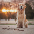 Załaduj obraz do przeglądarki galerii, Smycz przepinana linowa dla psa, brąz / Trufla BURA
