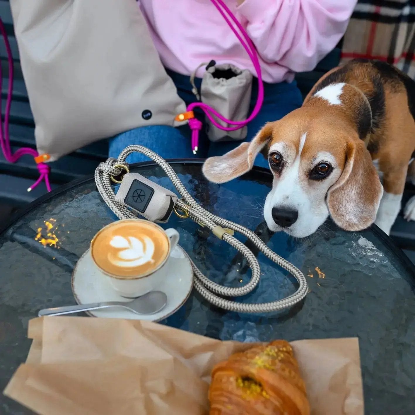 Smycz przepinana linowa dla psa, khaki / PSIAkość BURA