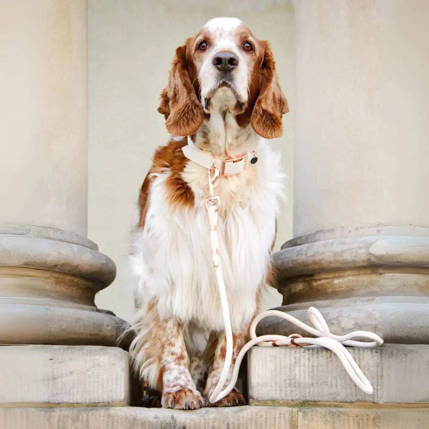 Smycz przepinana linowa dla psa, kremowy / beza Psiavlova BURA