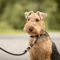 Załaduj obraz do przeglądarki galerii, Smycz przepinana linowa dla psa, czarny / COCO Psianel BURA
