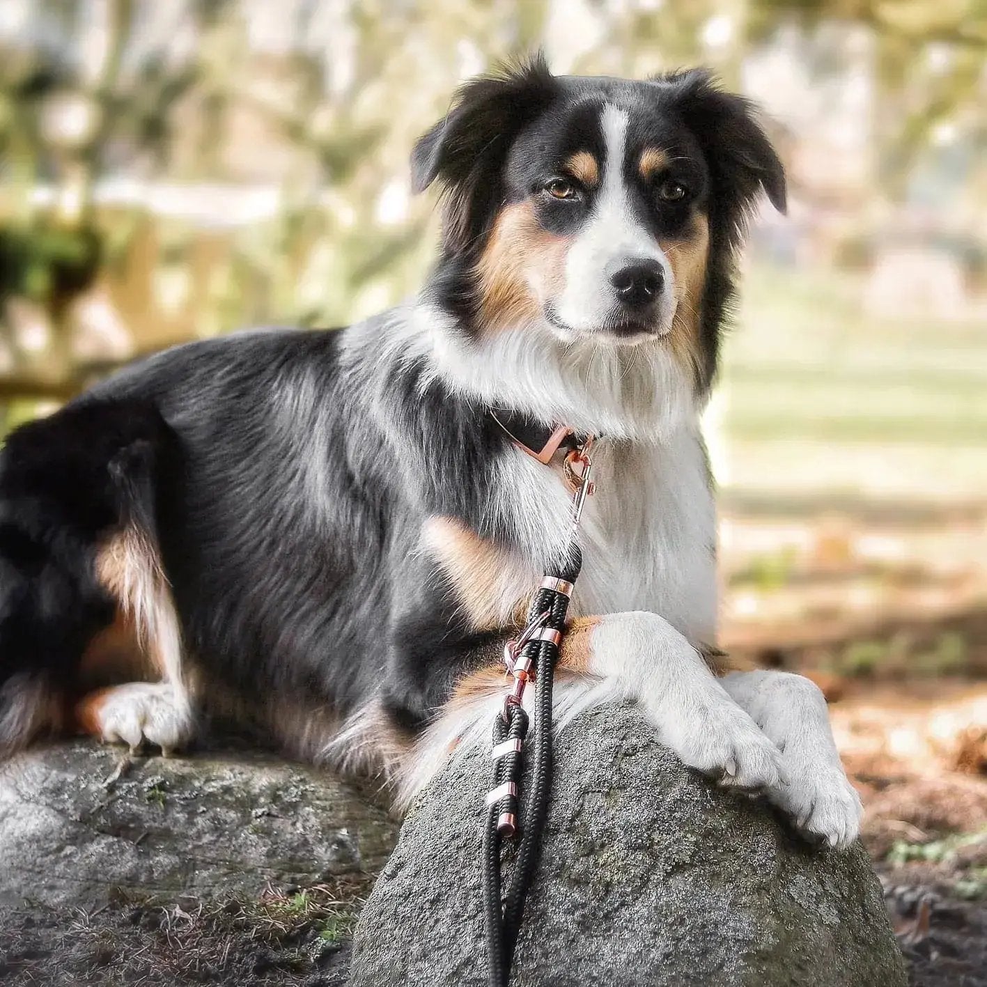 Smycz przepinana linowa dla psa, czarny / COCO Psianel BURA