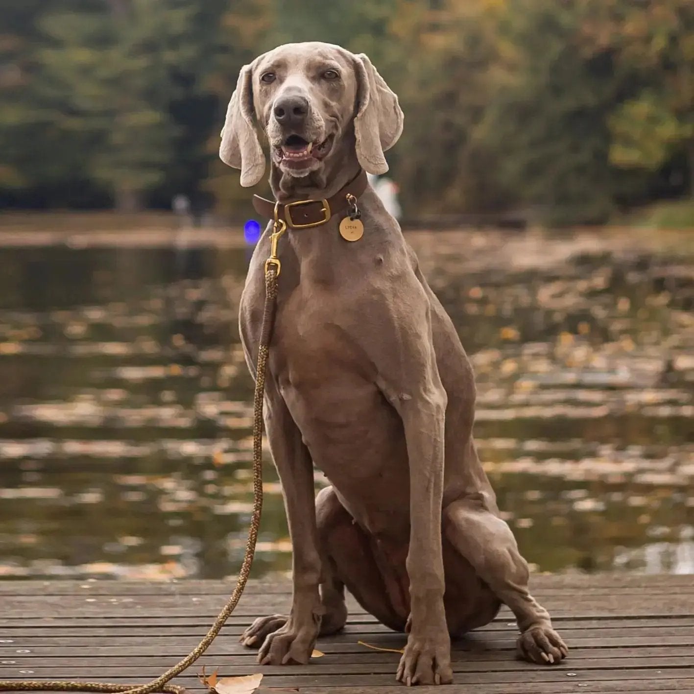 Smycz przepinana linowa dla psa, brązowy mix / chocolate... HAU good! BURA