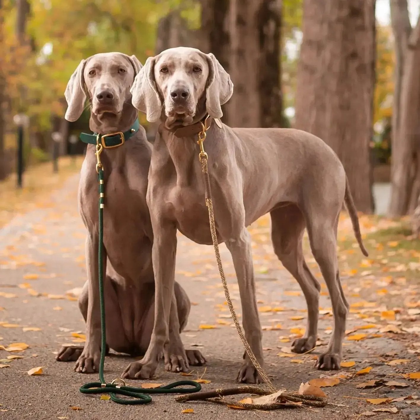 Smycz przepinana linowa dla psa, brązowy mix / chocolate... HAU good! BURA