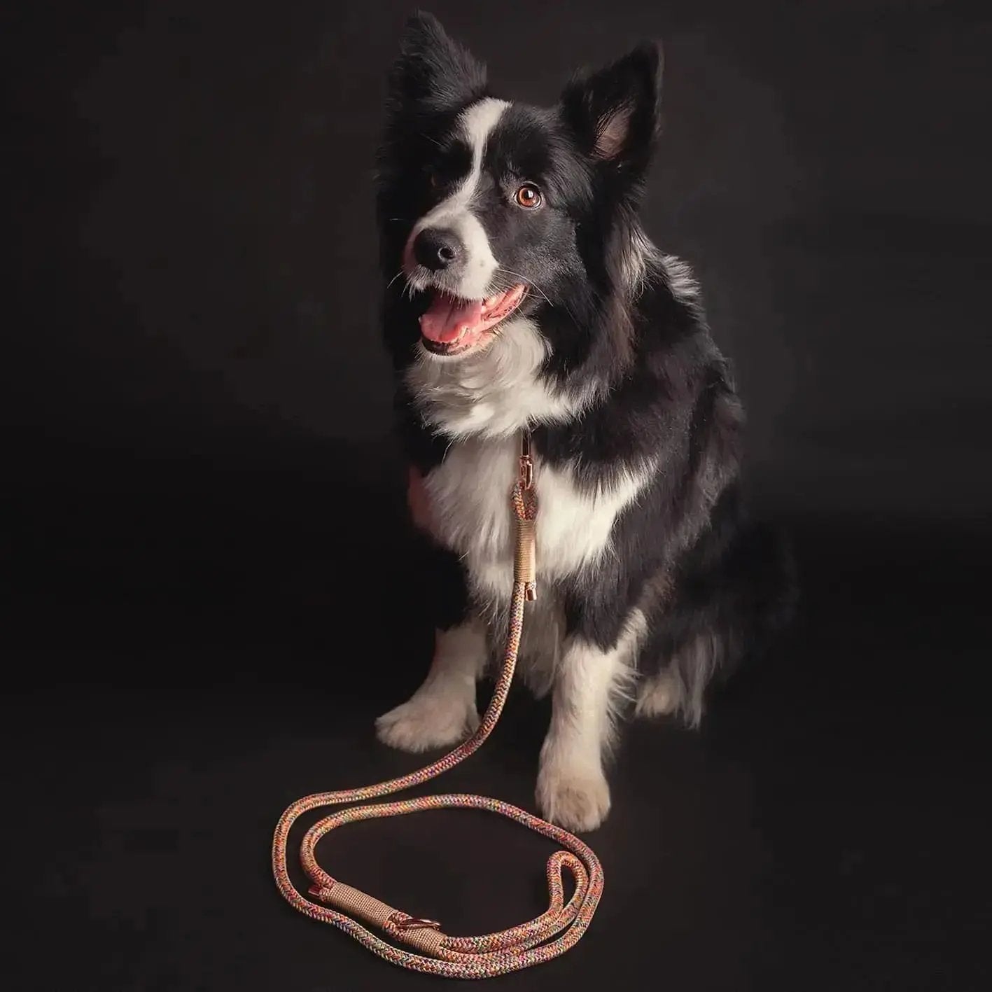 Smycz przepinana linowa dla psa, beżowy mix / Psiutti frutti BURA