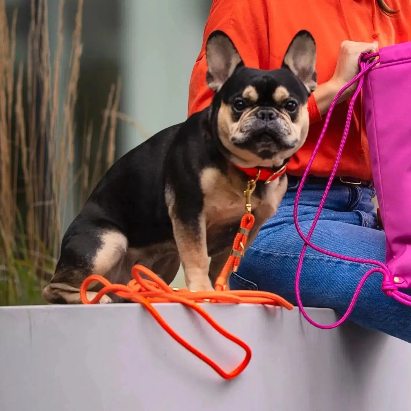 Smycz przepinana linowa dla psa, pomarańcz / doggie COOL BURA