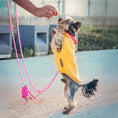 Załaduj obraz do przeglądarki galerii, Smycz przepinana linowa dla psa, różowy / Pies&love BURA
