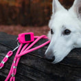 Załaduj obraz do przeglądarki galerii, Smycz przepinana linowa dla psa, różowy / Pies&love BURA
