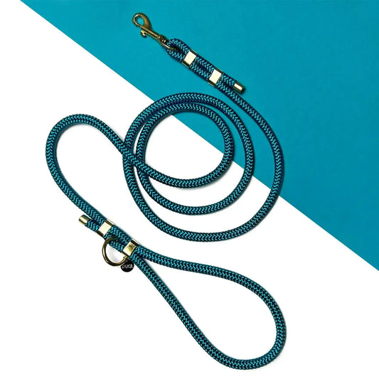 Smycz miejska linowa dla psa, turkus / wilk MORSKI BURA