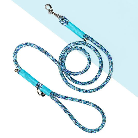 Smycz miejska linowa dla psa, niebieski mix / I'm buldog... da ba dee da ba daa BURA