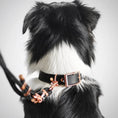 Załaduj obraz do przeglądarki galerii, Obroża na sprzączkę dla psa, czarny / COCO Psianel, dog in BLACK BURA
