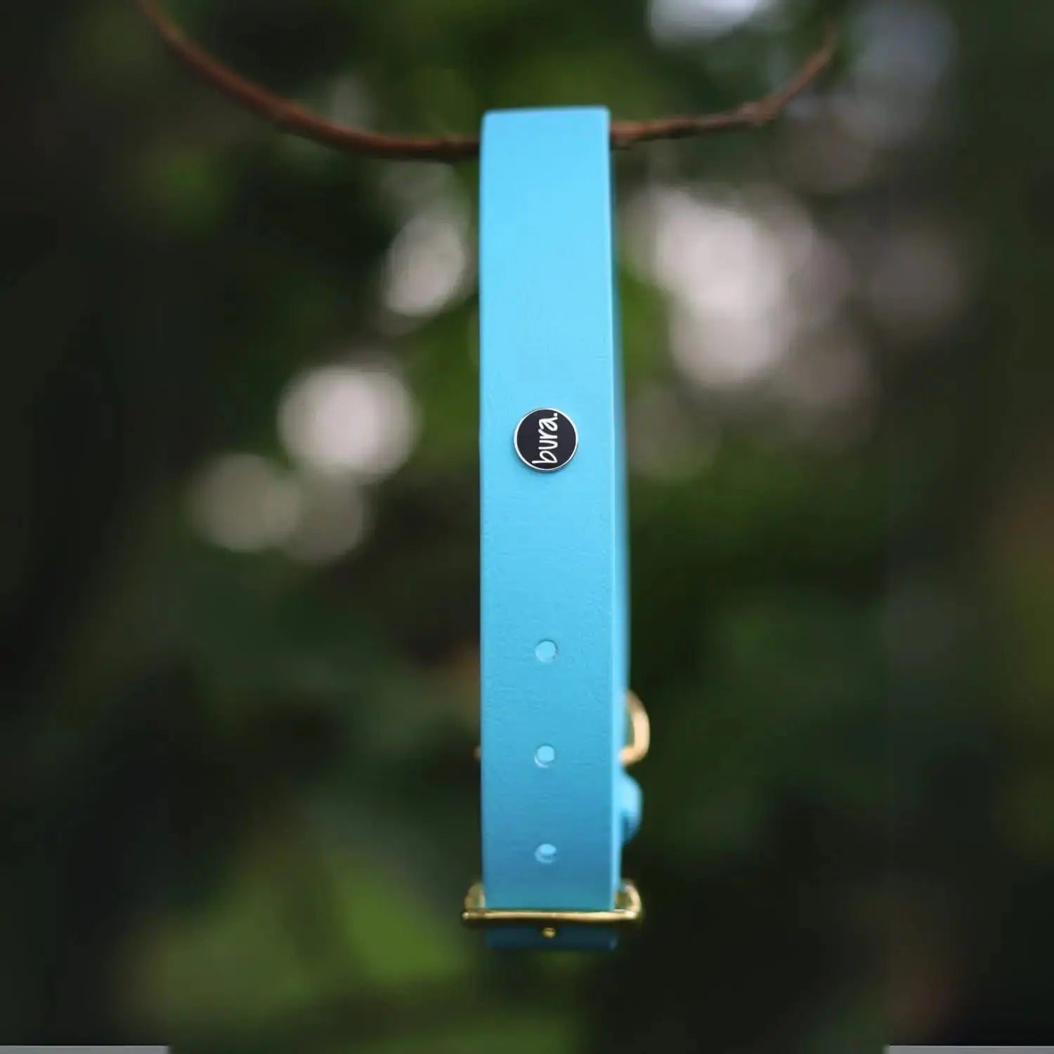 Obroża na sprzączkę dla psa, błękit / I'm buldog... BURA