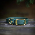 Załaduj obraz do przeglądarki galerii, Obroża na sprzączkę dla psa, butelkowa zieleń / born to be wild... DOG BURA
