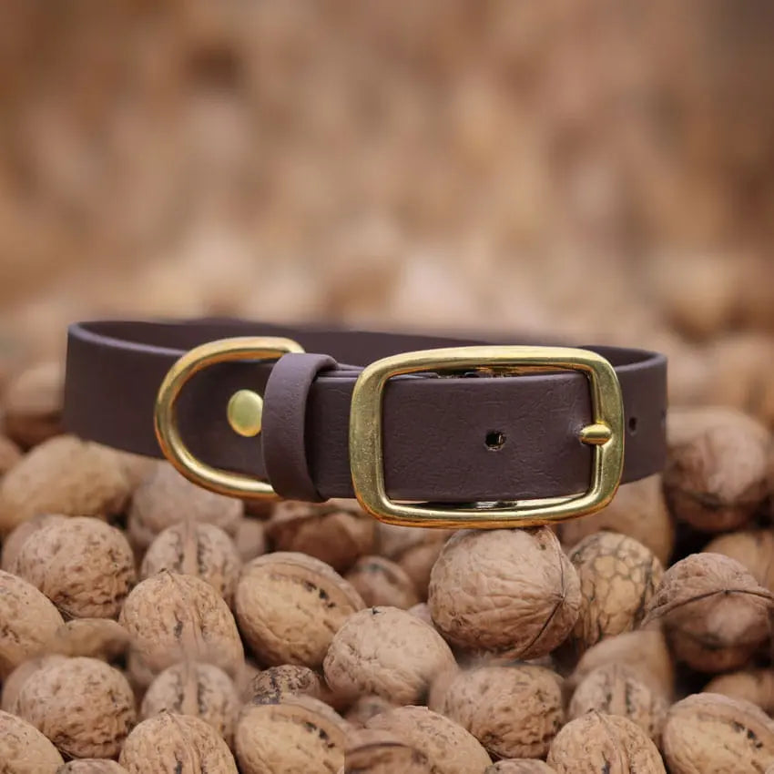 Obroża na sprzączkę dla psa, ciemny brąz / dark chocolate... HAU good! BURA
