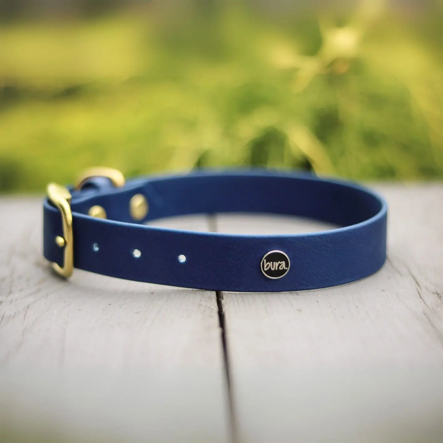 Obroża na sprzączkę dla psa, granat / Royal dog BURA