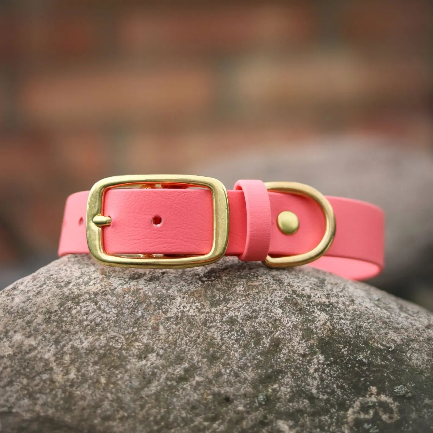 Obroża na sprzączkę dla psa, koral / Psiutti frutti BURA
