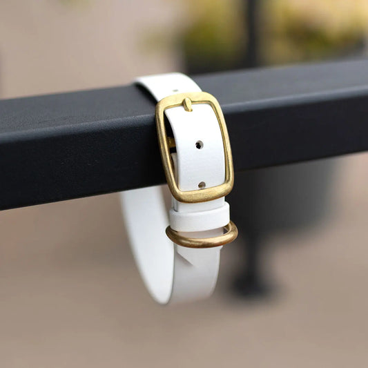 Obroża na sprzączkę dla psa, biały / beza Psiavlova BURA