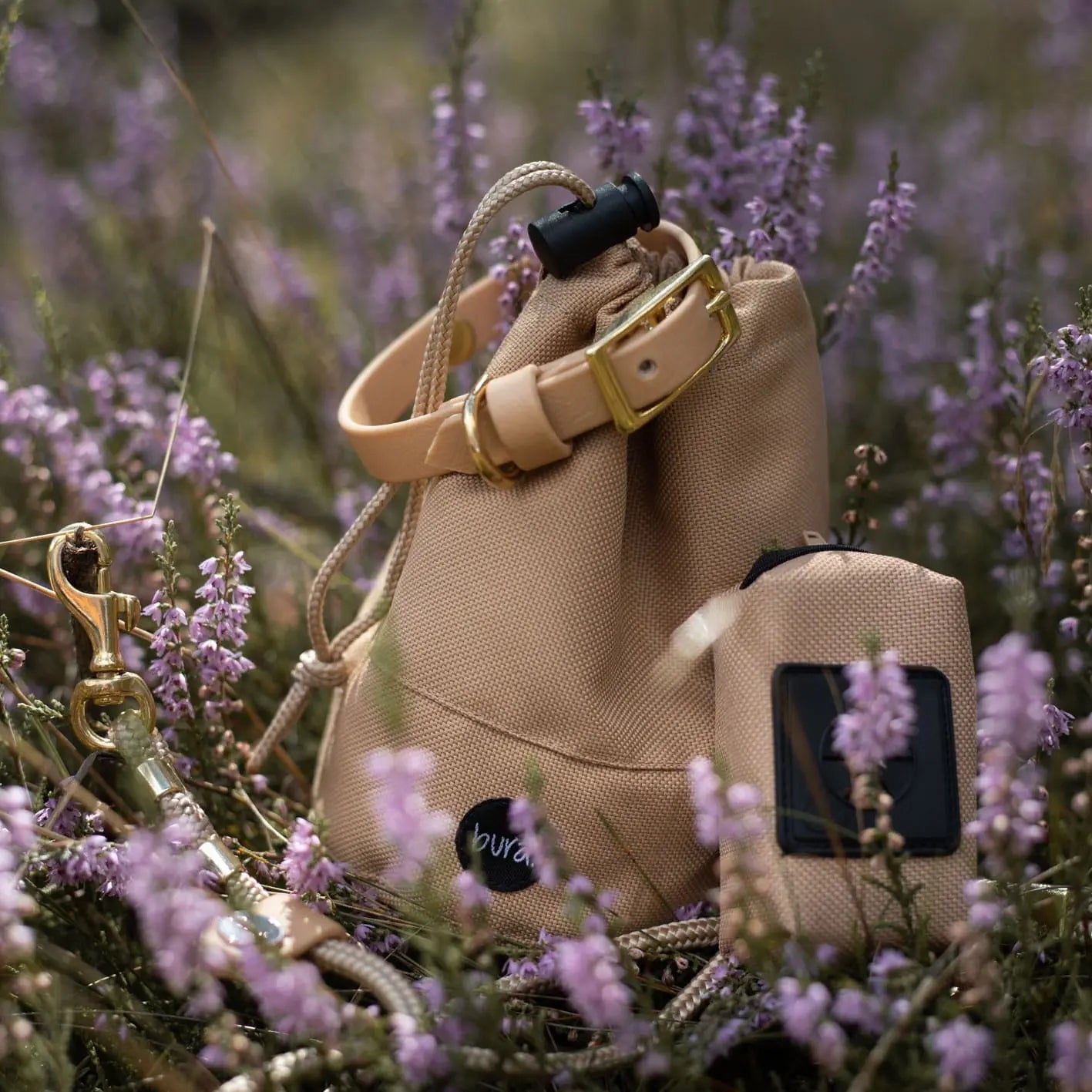 Obroża na sprzączkę dla psa, beżowy / PSInut butter, Psiutti frutti BURA