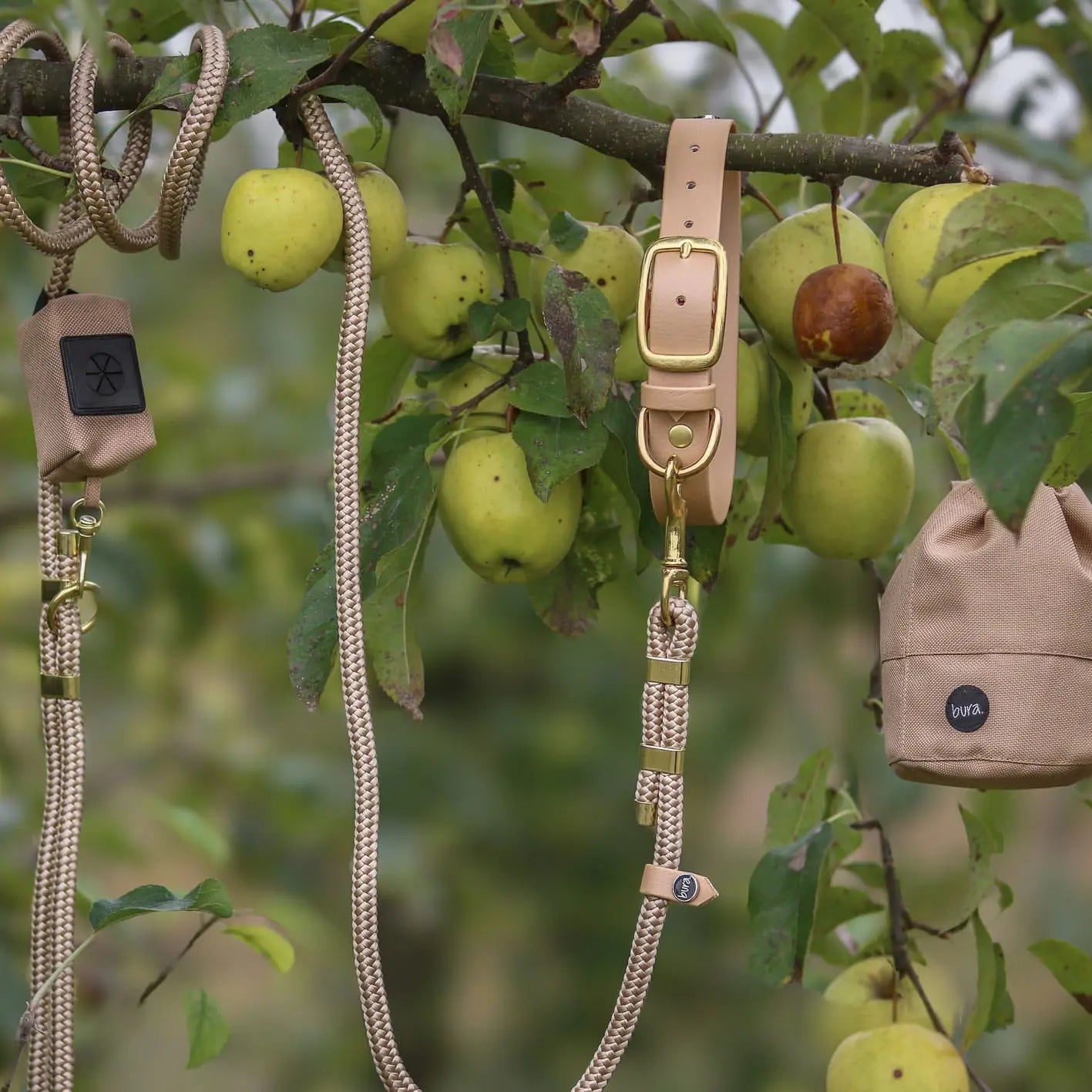 Obroża na sprzączkę dla psa, beżowy / PSInut butter, Psiutti frutti BURA