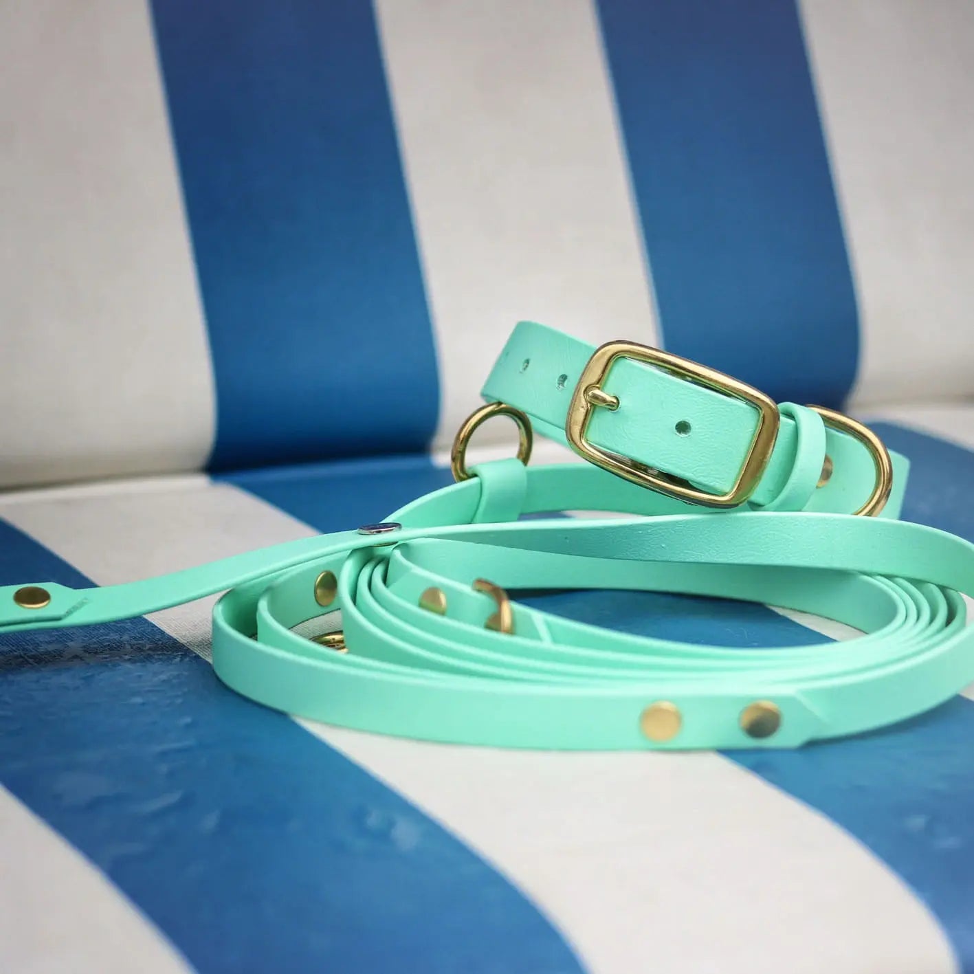 Obroża na sprzączkę dla psa, miętowy / psia miętka BURA