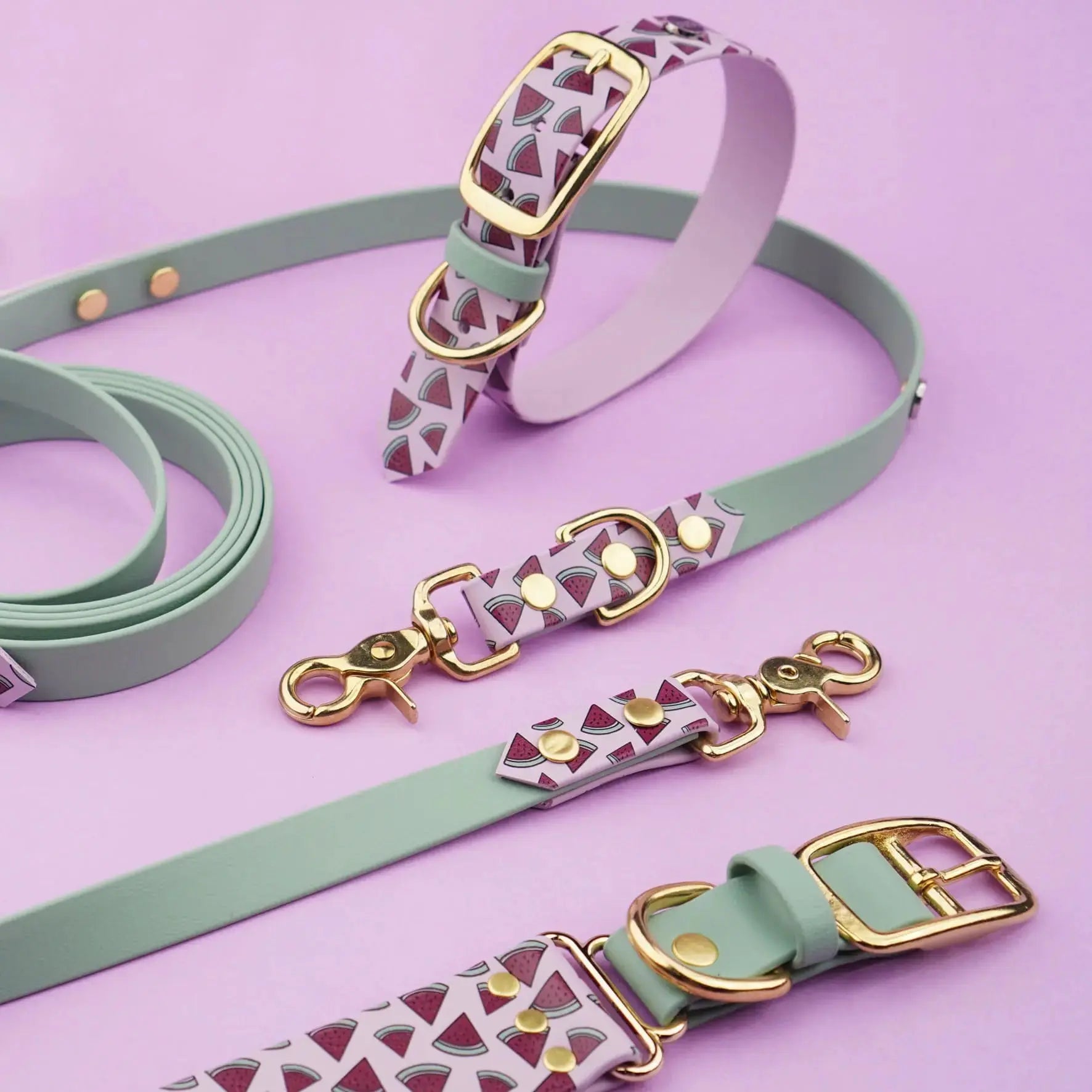 Obroża na sprzączkę dla psa, Arbuziki / lilia BURA