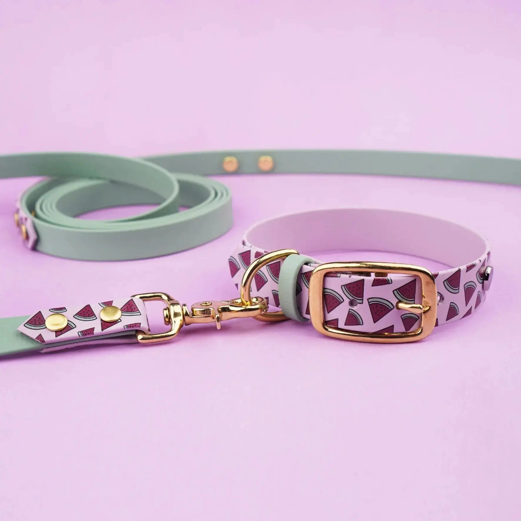 Obroża na sprzączkę dla psa, Arbuziki / lilia BURA