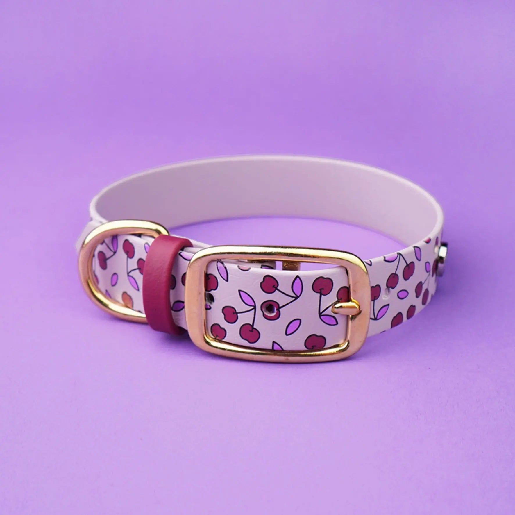 Obroża na sprzączkę dla psa, Wisienki / liliowy BURA