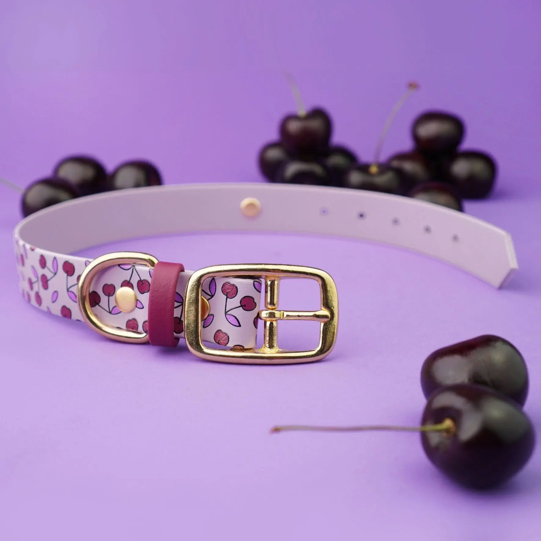 Obroża na sprzączkę dla psa, Wisienki / liliowy BURA