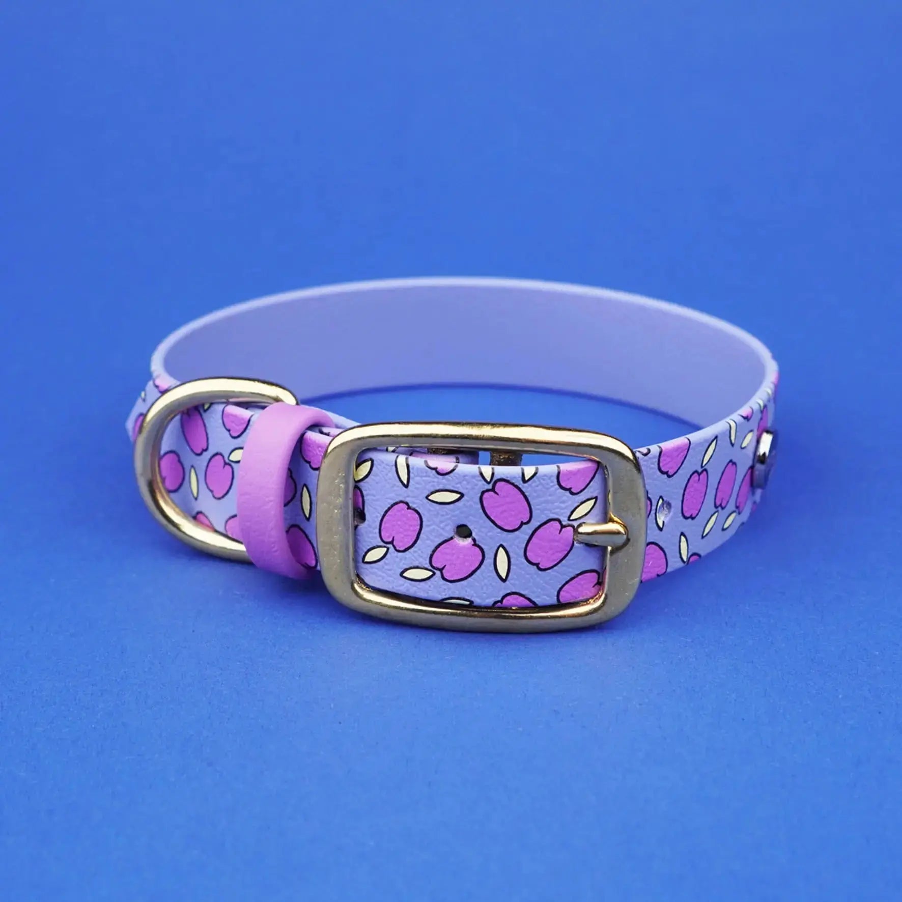 Obroża na sprzączkę dla psa, Śliweczki / niebiesko-lawendowy BURA