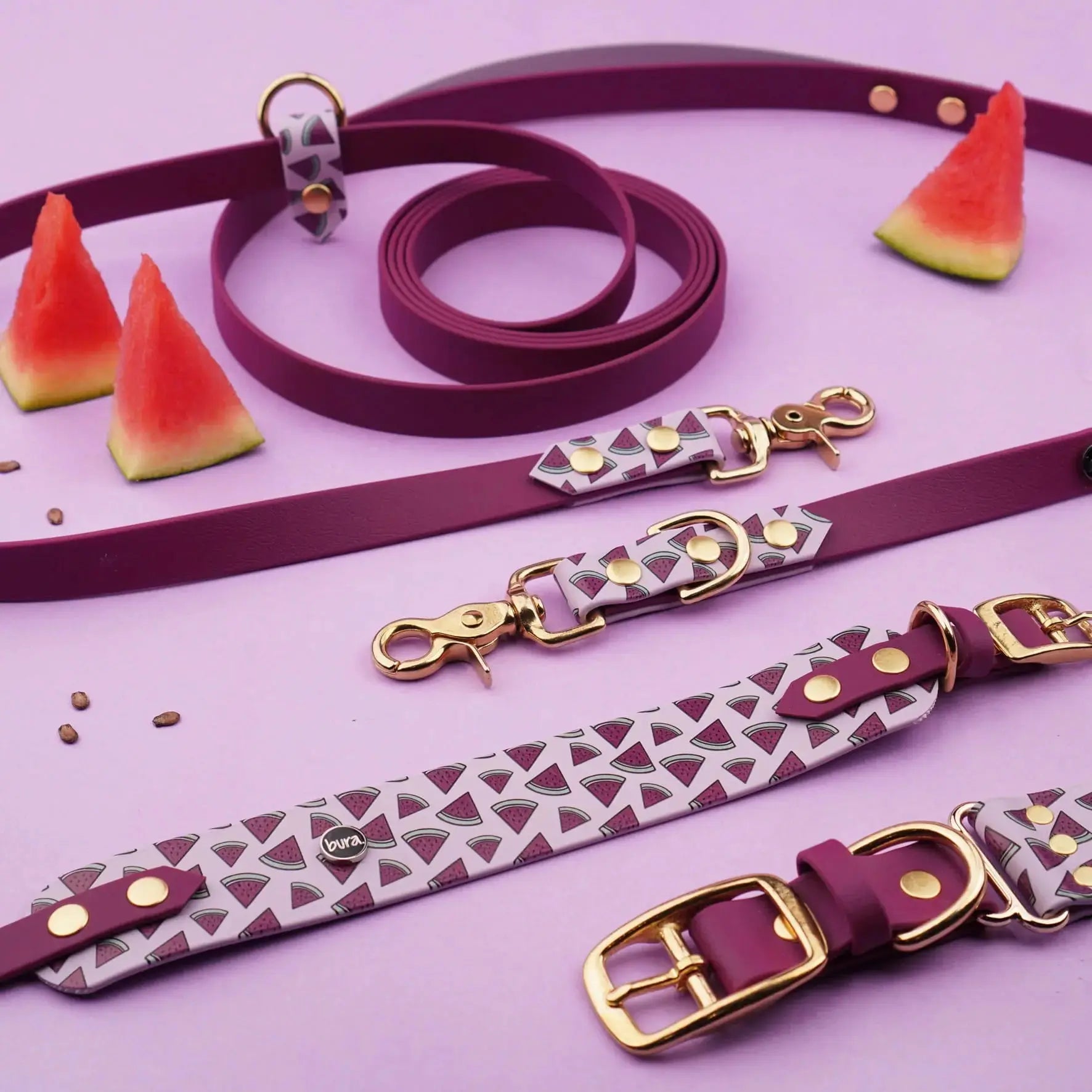 Smycz przepinana multifunkcyjna z Biothane dla psa, Arbuziki / szałwiowy, bordo BURA