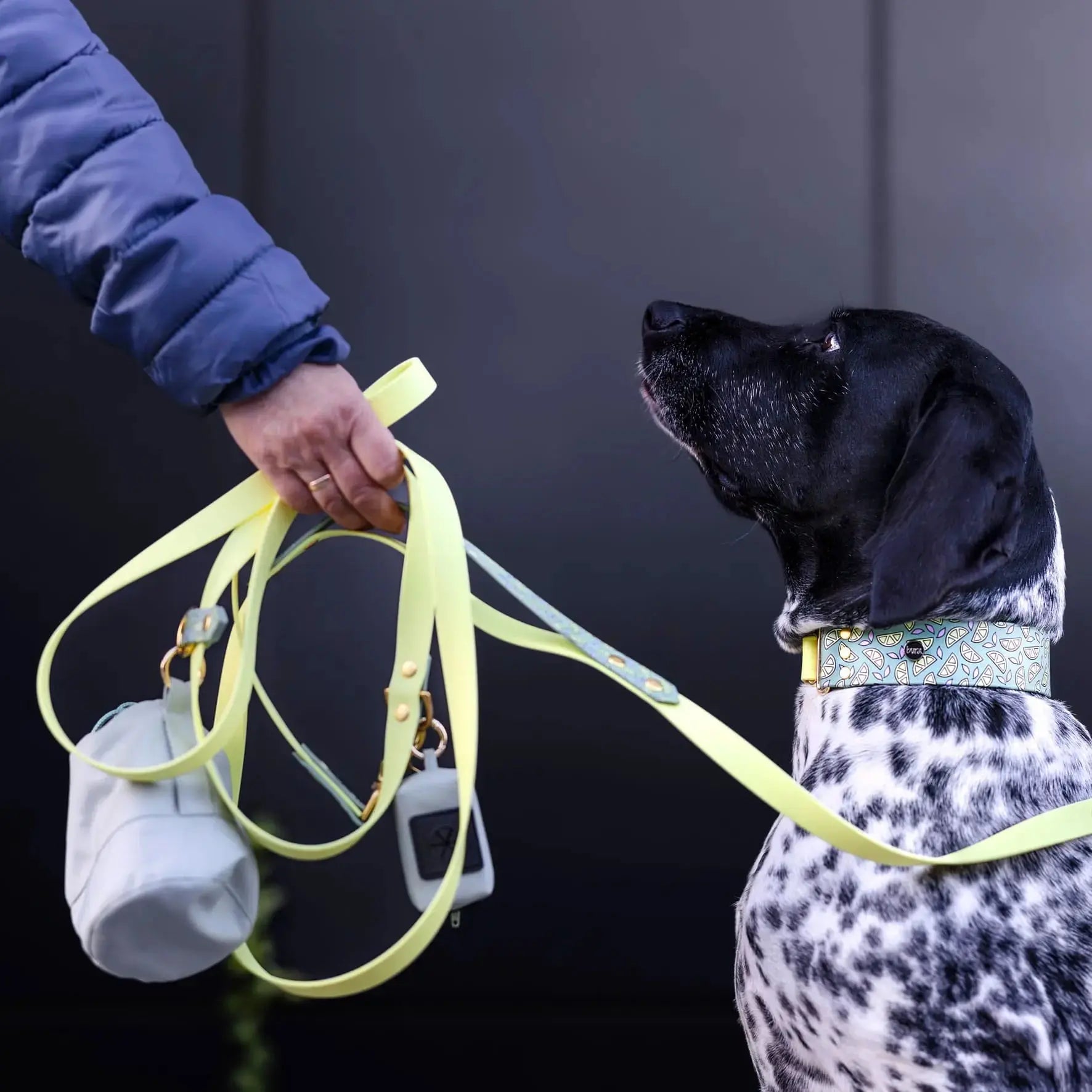 Smycz przepinana multifunkcyjna z Biothane dla psa, Cytrynki / pastelowy żółty, liliowy BURA