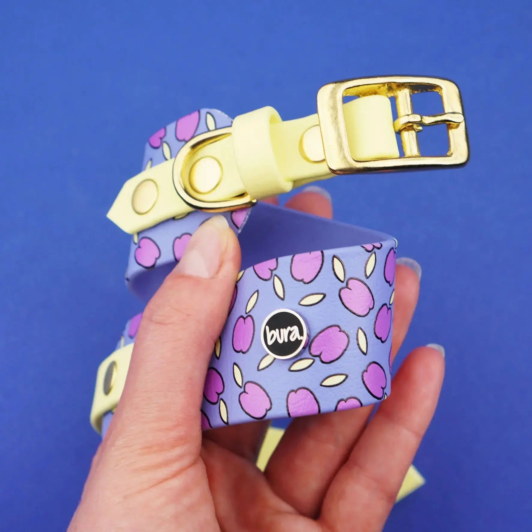 Obroża dla Charta na sprzączkę, Śliweczki / niebiesko-lawendowy BURA