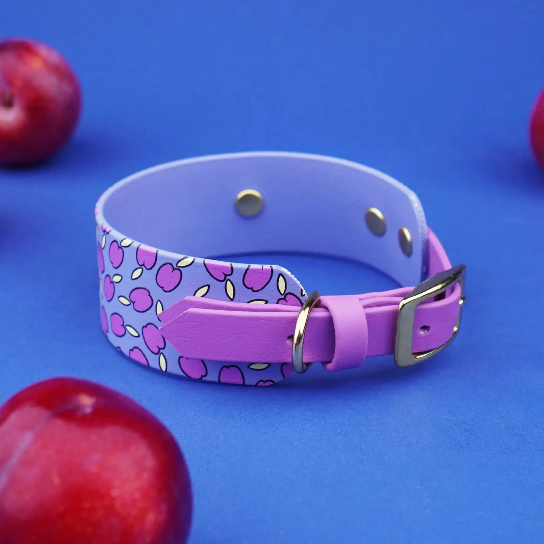 Obroża dla Charta na sprzączkę, Śliweczki / niebiesko-lawendowy BURA