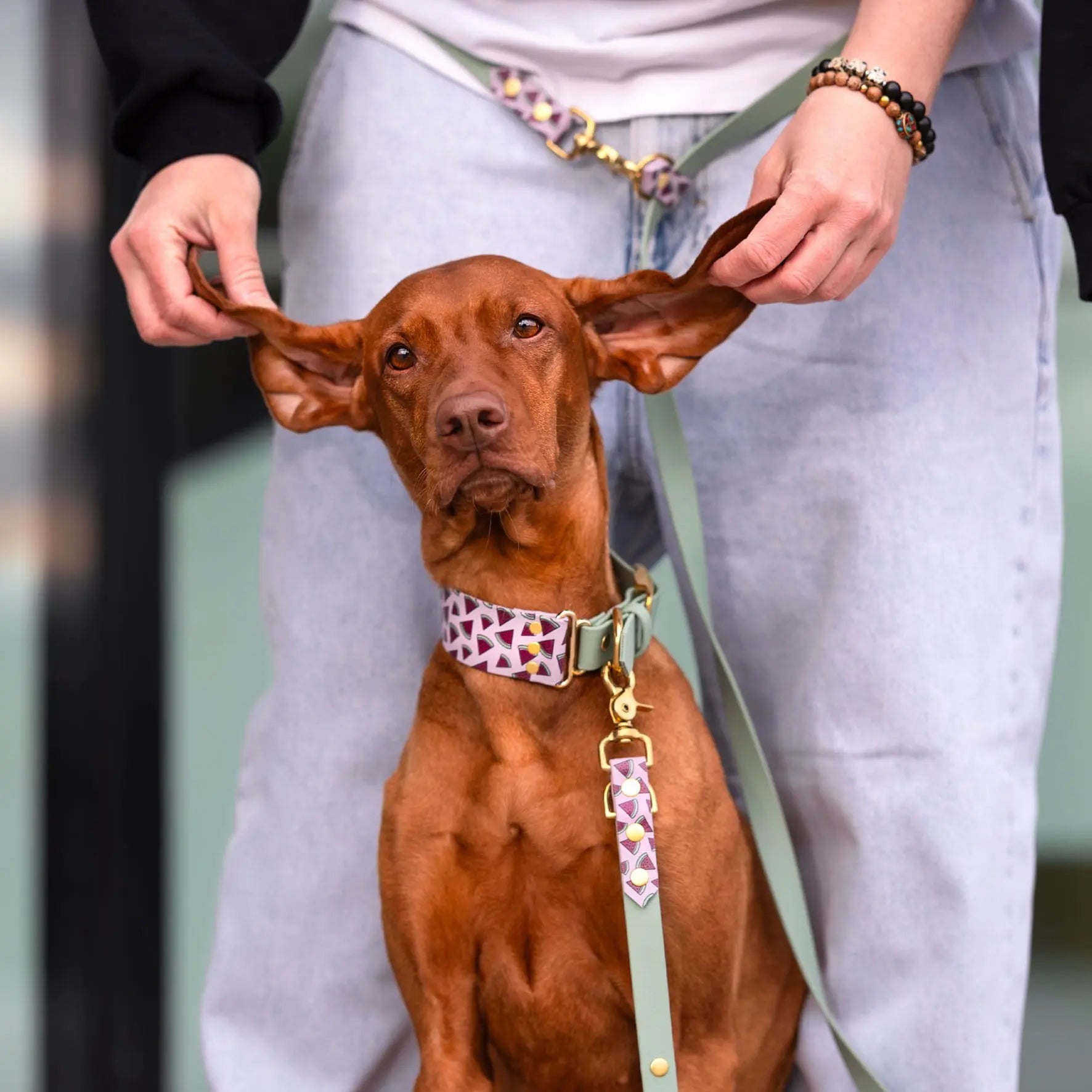 Szeroka obroża na sprzączkę, Arbuziki / lilia BURA