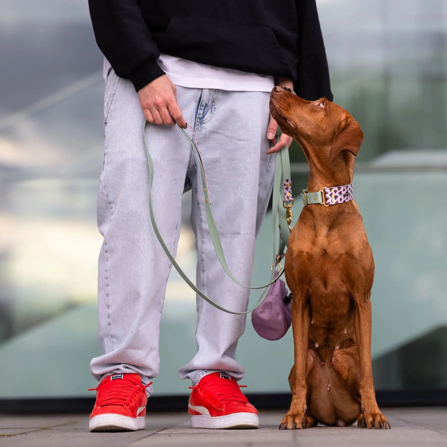 Szeroka obroża na sprzączkę, Arbuziki / lilia BURA