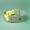 Załaduj obraz do przeglądarki galerii, Szeroka obroża na sprzączkę, Cytrynki / szałwiowy BURA
