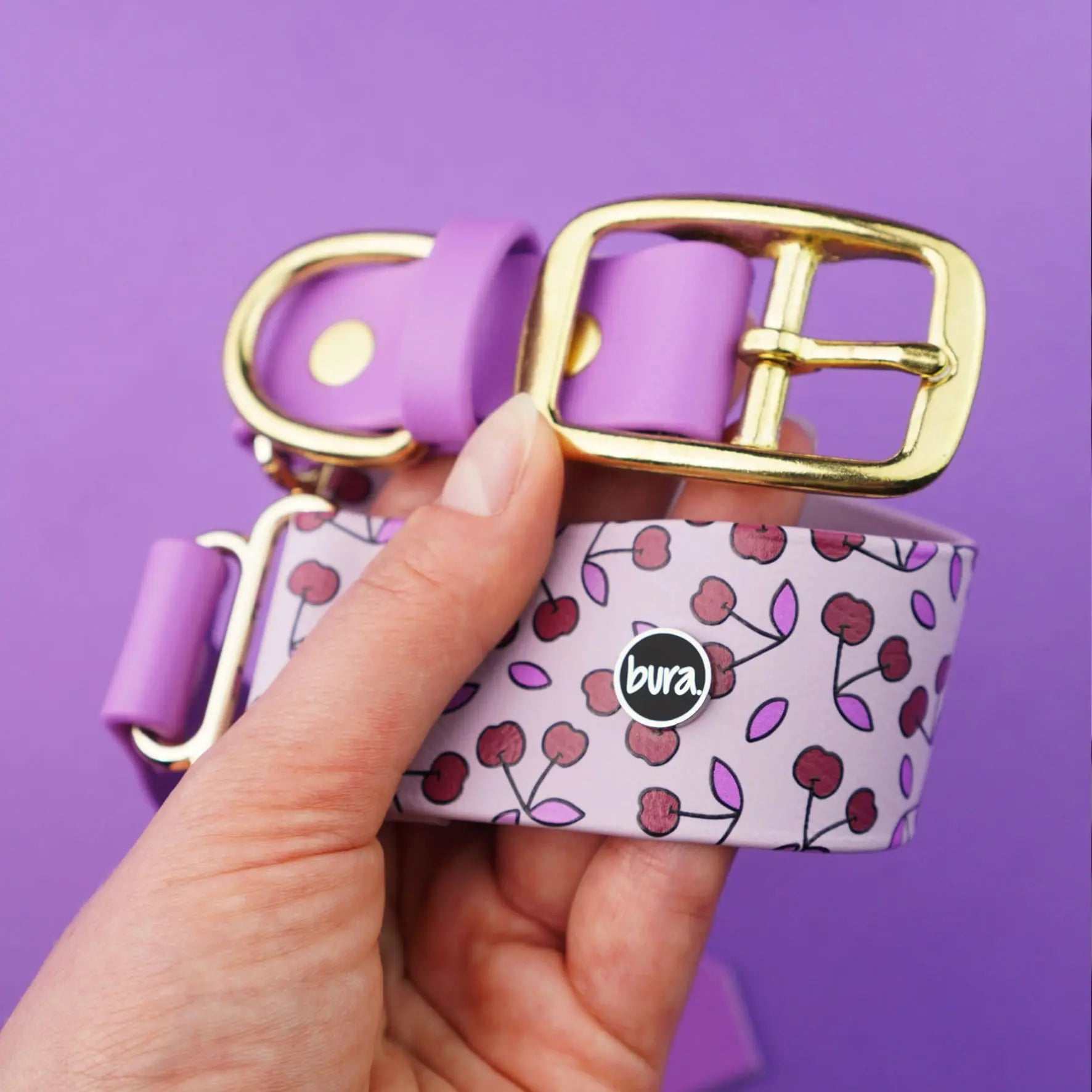 Szeroka obroża na sprzączkę, Wisienki / liliowy BURA