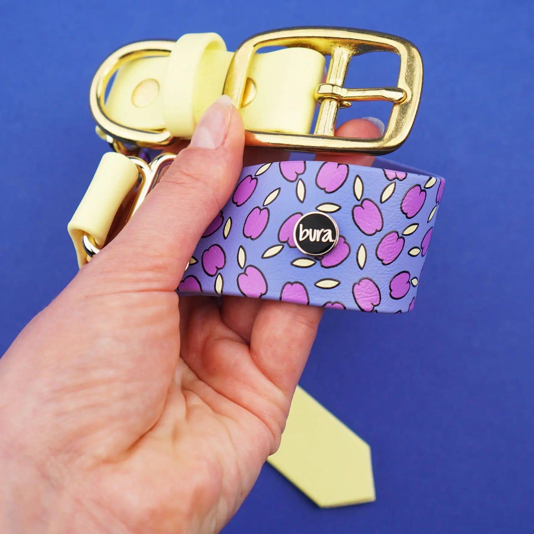 Szeroka obroża na sprzączkę, Śliweczki / niebiesko-lawendowy BURA