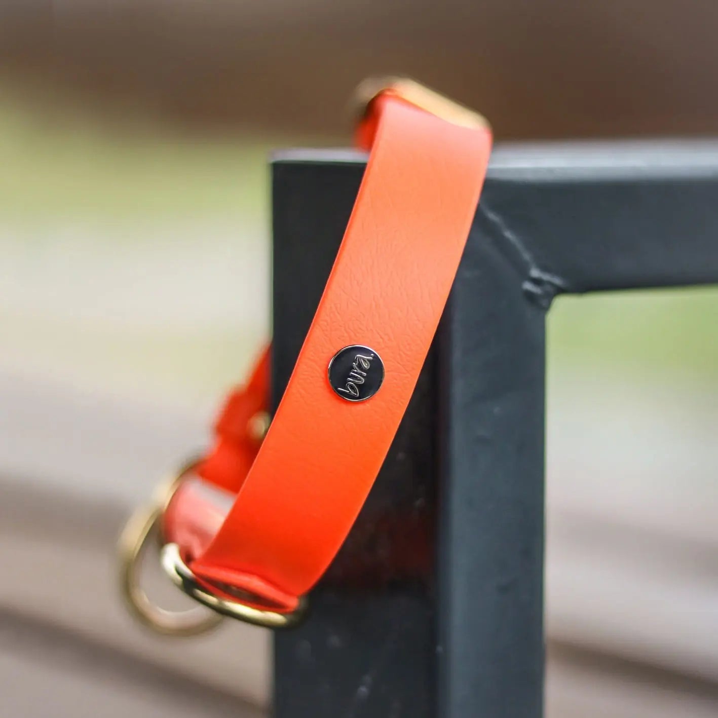 Obroża na sprzączkę dla psa, pomarańcz / doggie COOL BURA