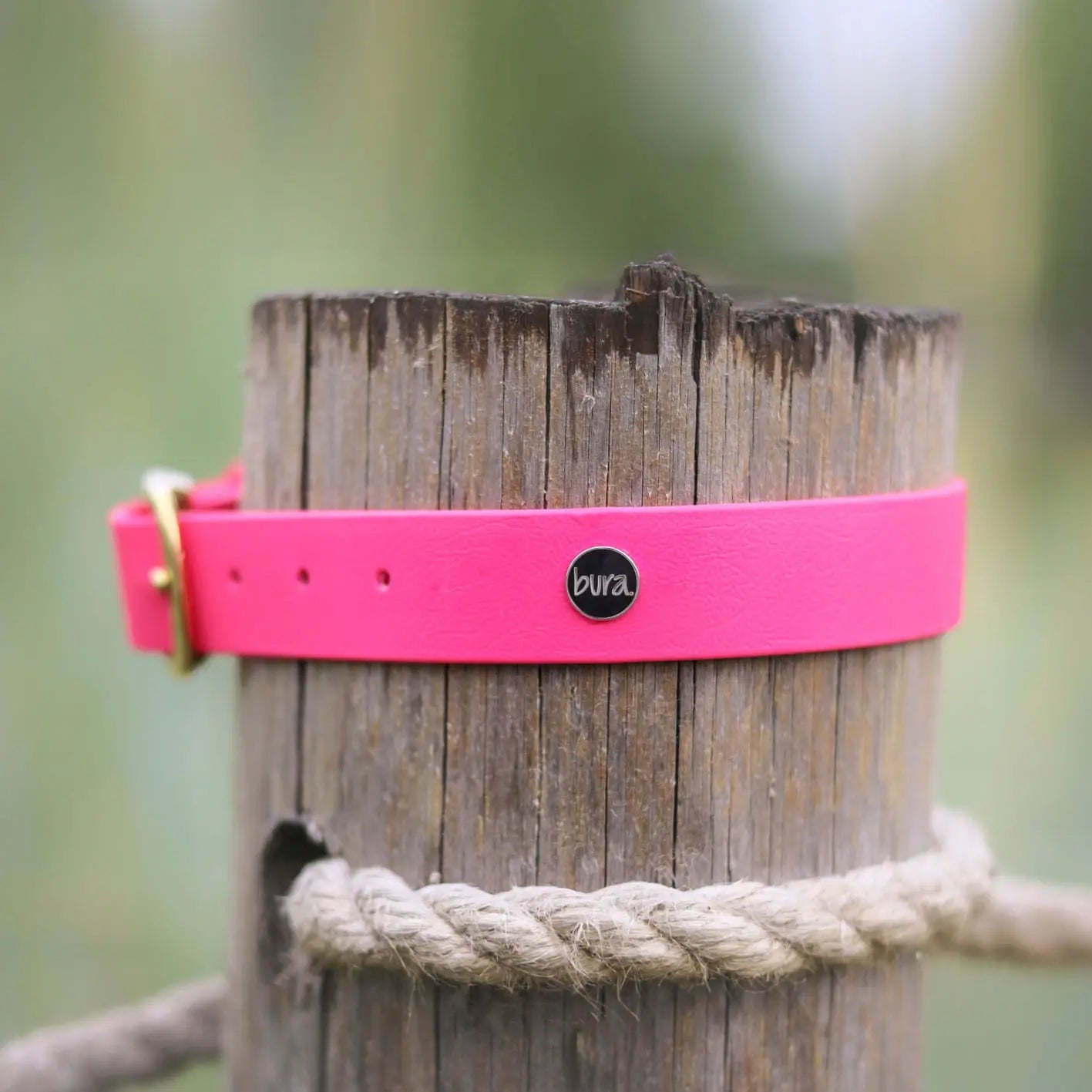 Obroża na sprzączkę dla psa, różowy / Pies&love BURA