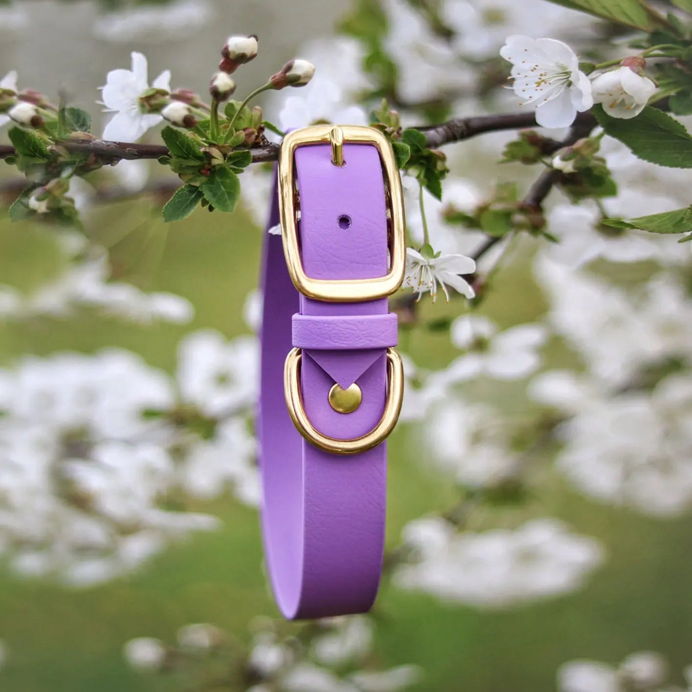 Obroża na sprzączkę dla psa, jasny fioletowy / FURRY tale BURA