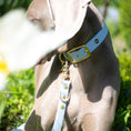 Załaduj obraz do przeglądarki galerii, Obroża na sprzączkę dla psa, pastelowy niebieski / PUPPY blue BURA
