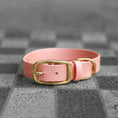 Załaduj obraz do przeglądarki galerii, Obroża na sprzączkę dla psa, łososiowy róż / wata PSIUkrowa BURA
