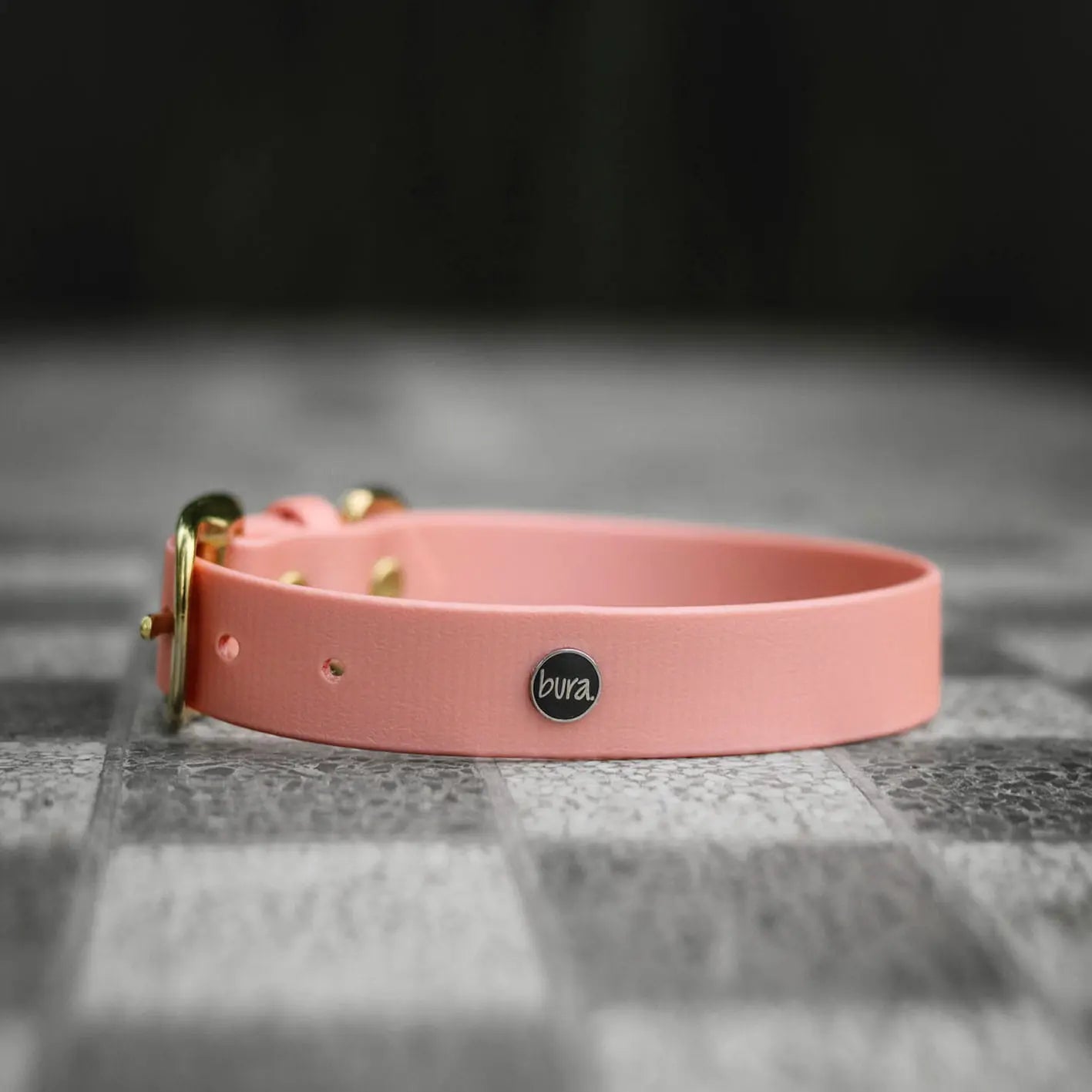 Obroża na sprzączkę dla psa, łososiowy róż / wata PSIUkrowa BURA