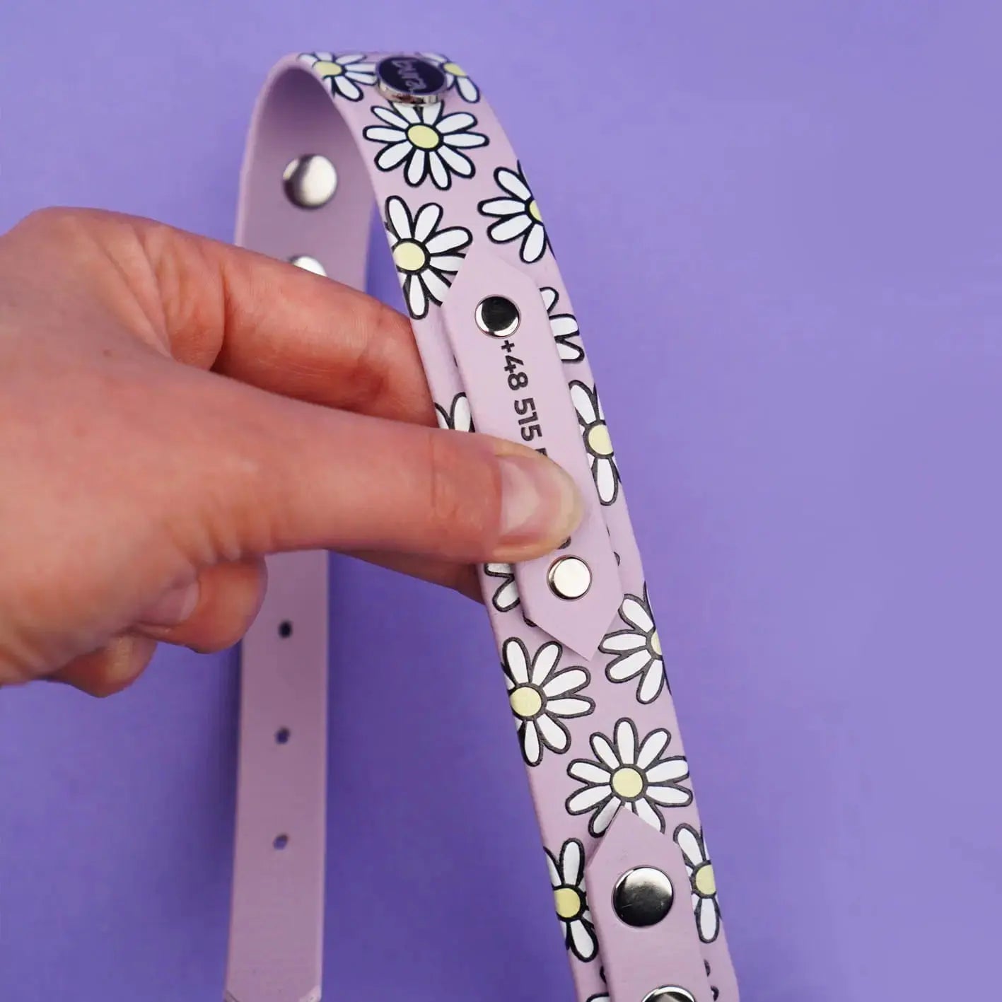 Obroża na sprzączkę dla psa, Stokrotki / lilia BURA