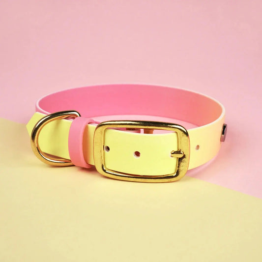 Obroża na sprzączkę dla psa, Pink Malibu BURA