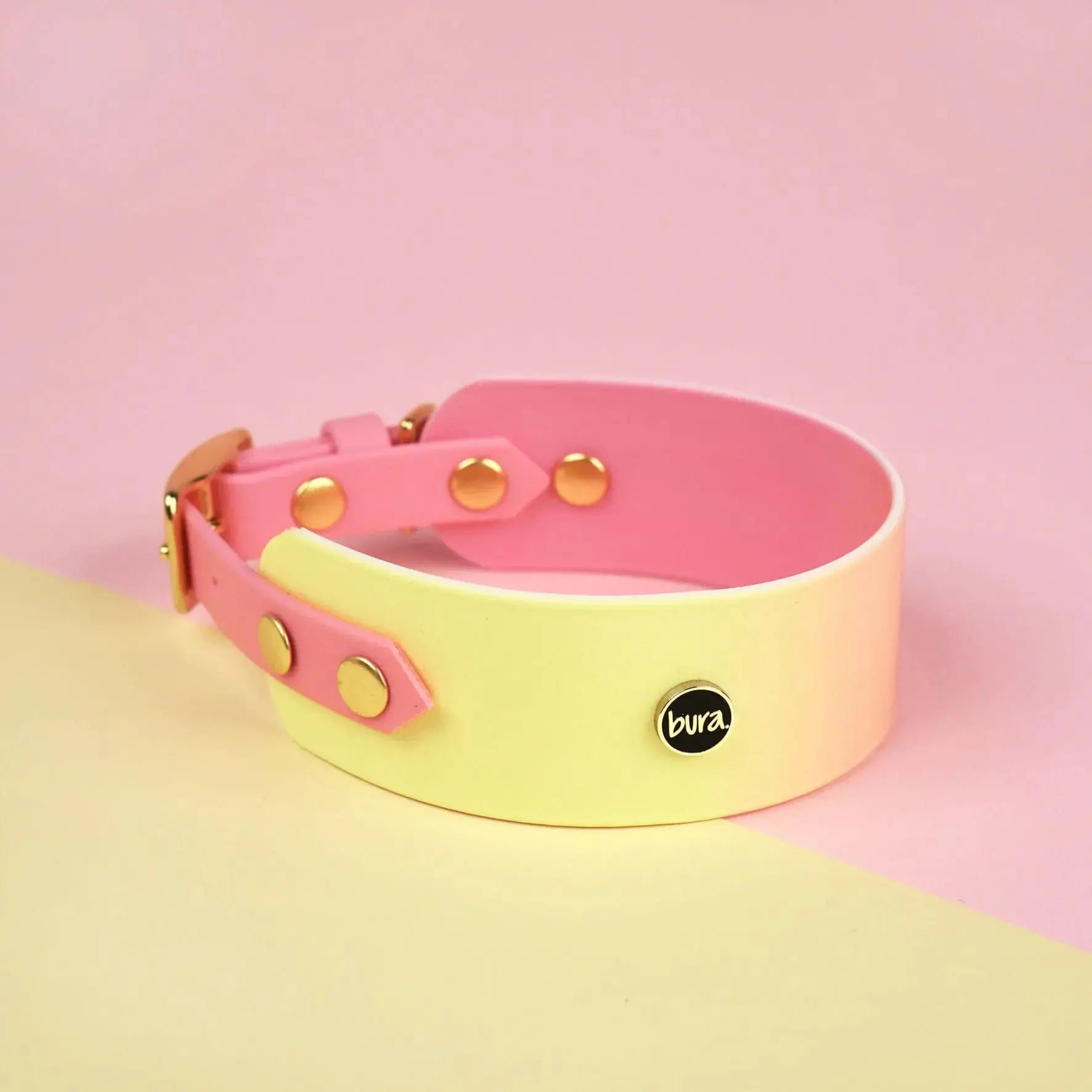 Obroża dla Charta na sprzączkę, Pink Malibu BURA